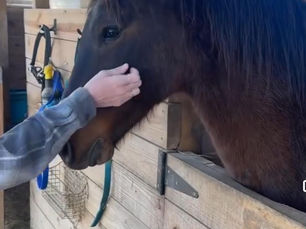 Welcome Donnie to SMR Wellness Center: A New Chapter Begins