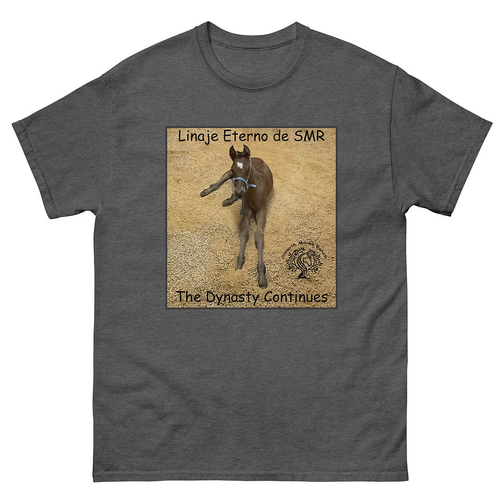Thumbnail: Linaje Eterno Tee Shirt