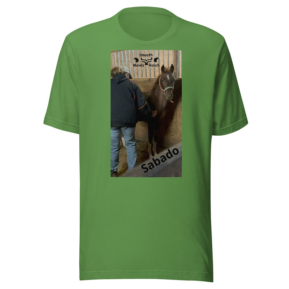 Thumbnail: SMR's Sabado Unisex t-shirt