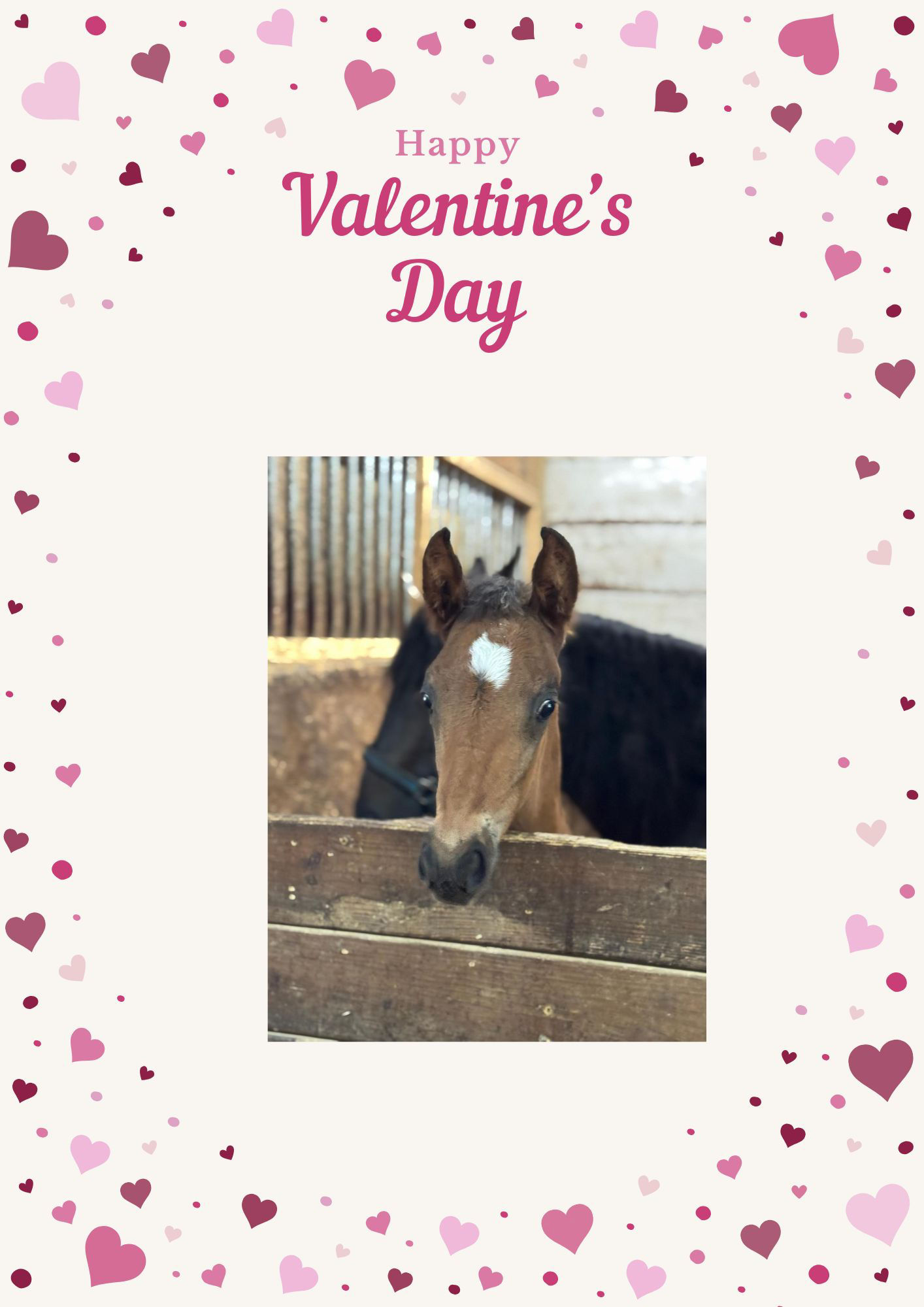 Happy Valentines Photo