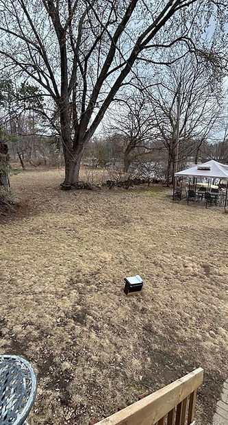 Empty grass yard before image.