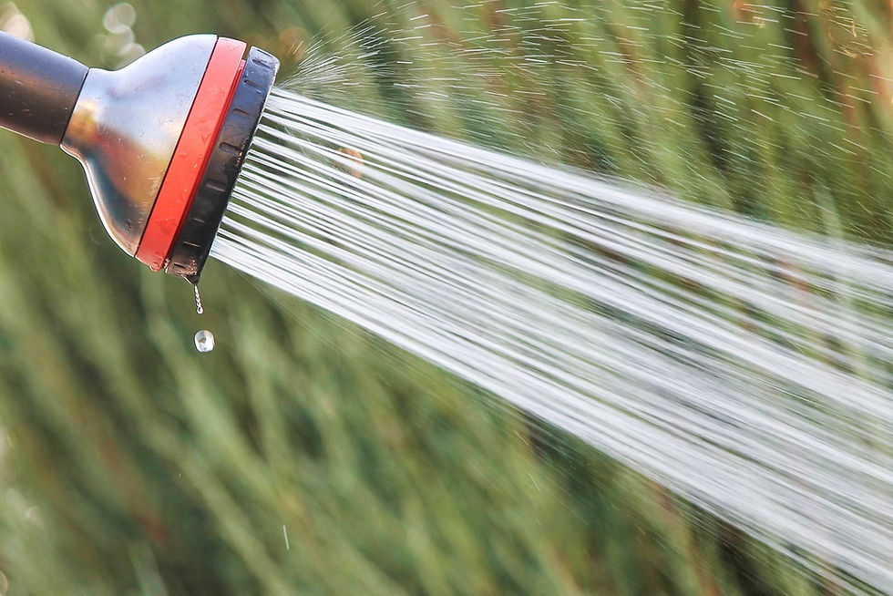 Water from hose