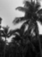 graphic-design-header_edited.jpg