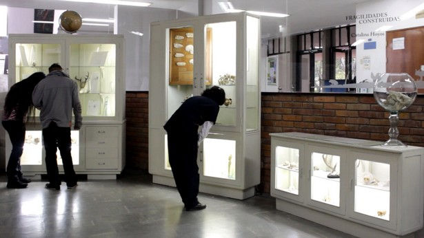 Fragilidades construidas