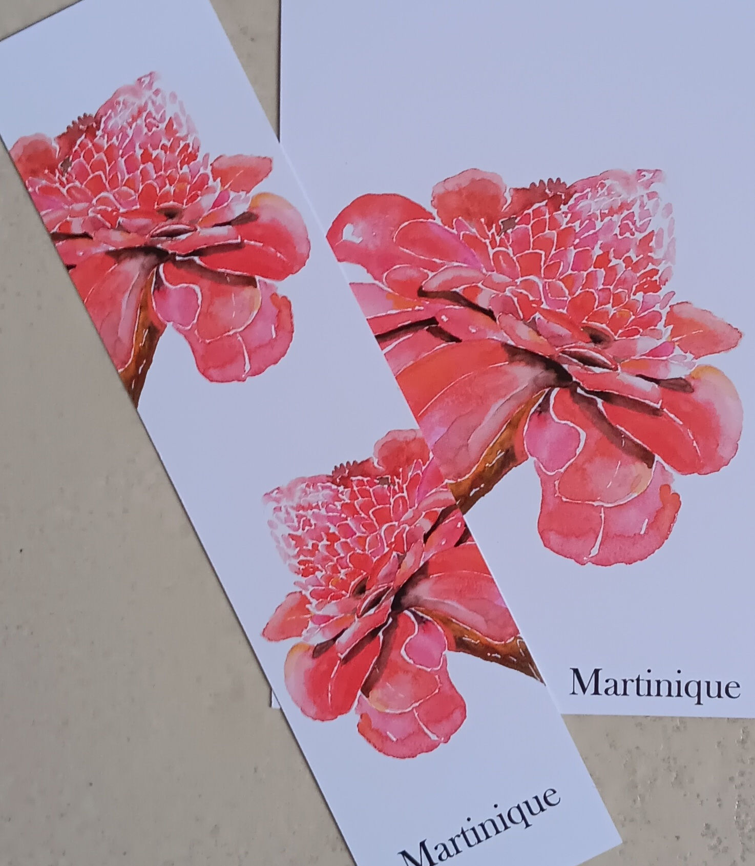 Rose de Porcelaine (marque-pages)