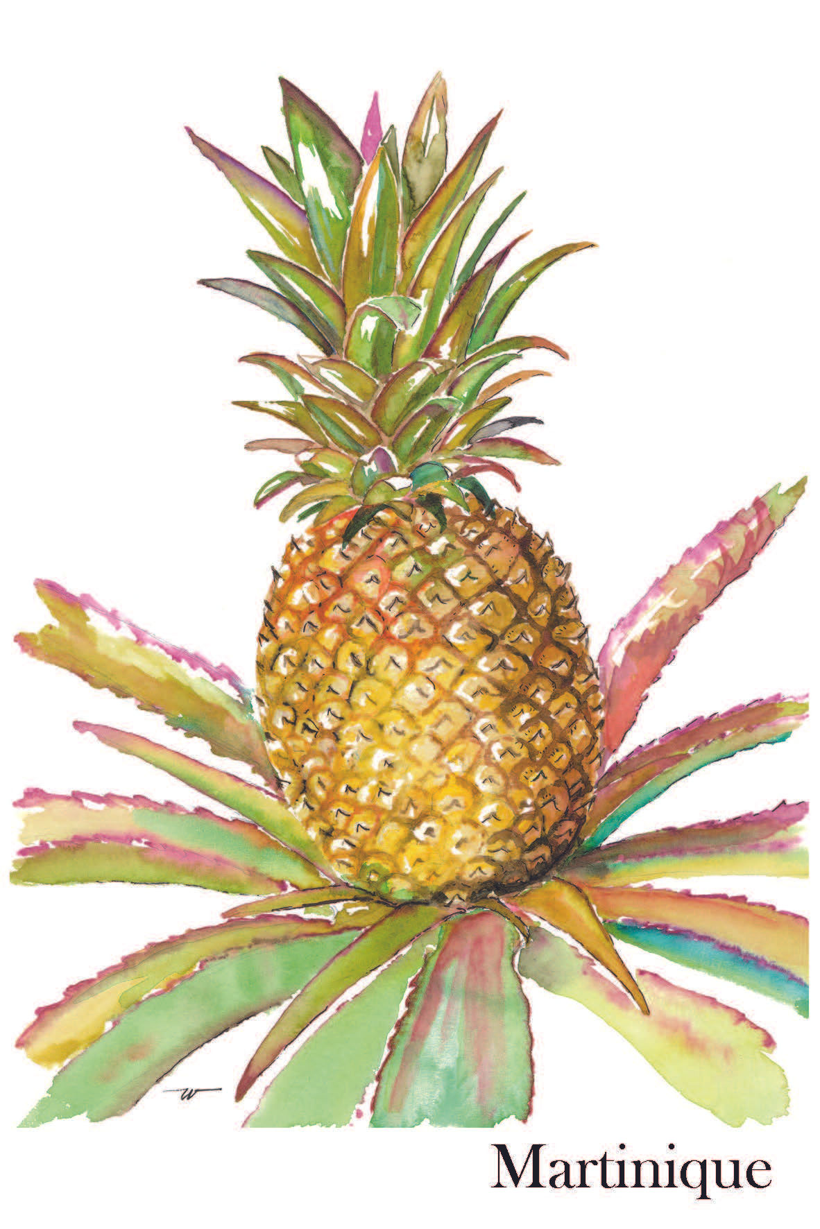 Pineapple (15 * 10 cm)