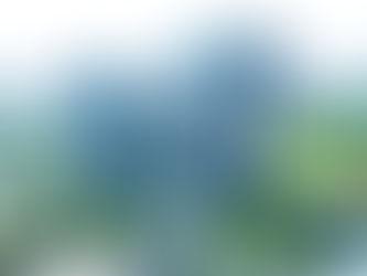 FPT Corporation Equity Report