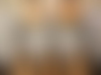 トラベルバッグギター　　　ラインナップご紹介パート2