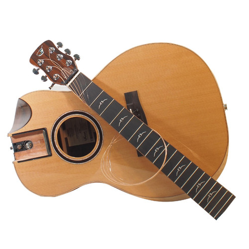 限定生産 FP592-13LTD2 | ジャーニーギターズ