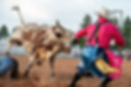Rodeo Entry at RMPRA Office