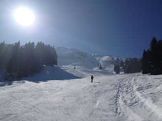 IMG_1032.jpeg
