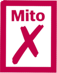 MITO-removebg-preview.png