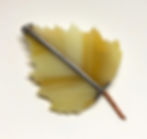 Thumbnail: Birch Shawl Pin