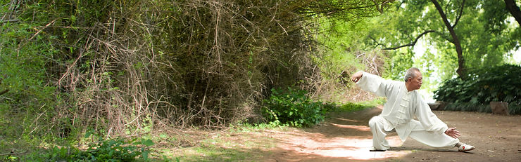 Meditação em movimento
