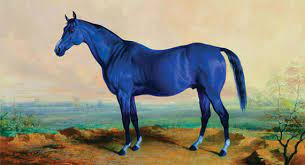 sonhar com cavalo