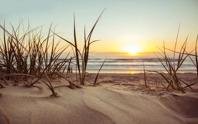 plage.webp