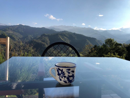 ¿Por qué me enamoré de Colombia?