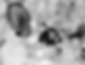 nano grains