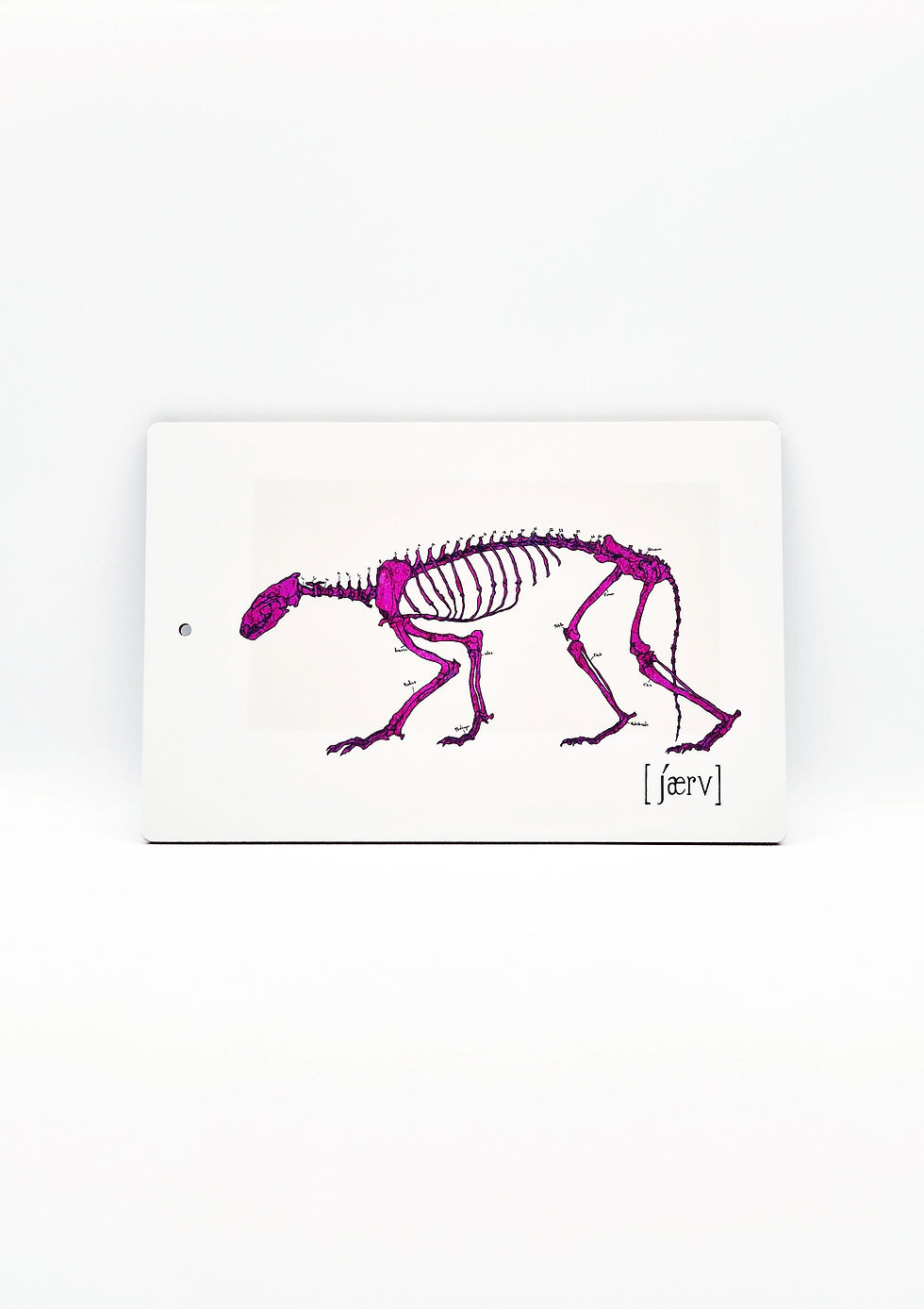 Skärbräda - Jærːv