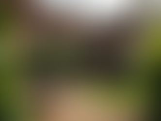 How to Spot Motorhome-Friendly Pub Stops