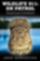 book cover 1-page-001.jpg