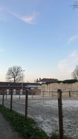 Paddocks de l'écurie cusenza