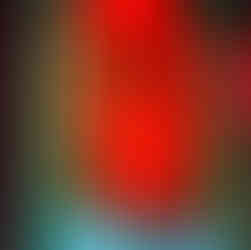 Neon light signs in Hong Kong