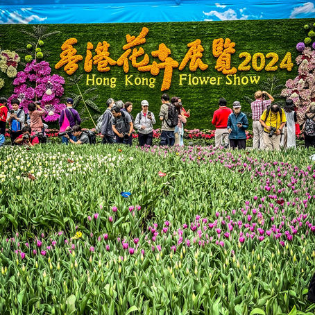 Hong Kong Flower Show 2024!