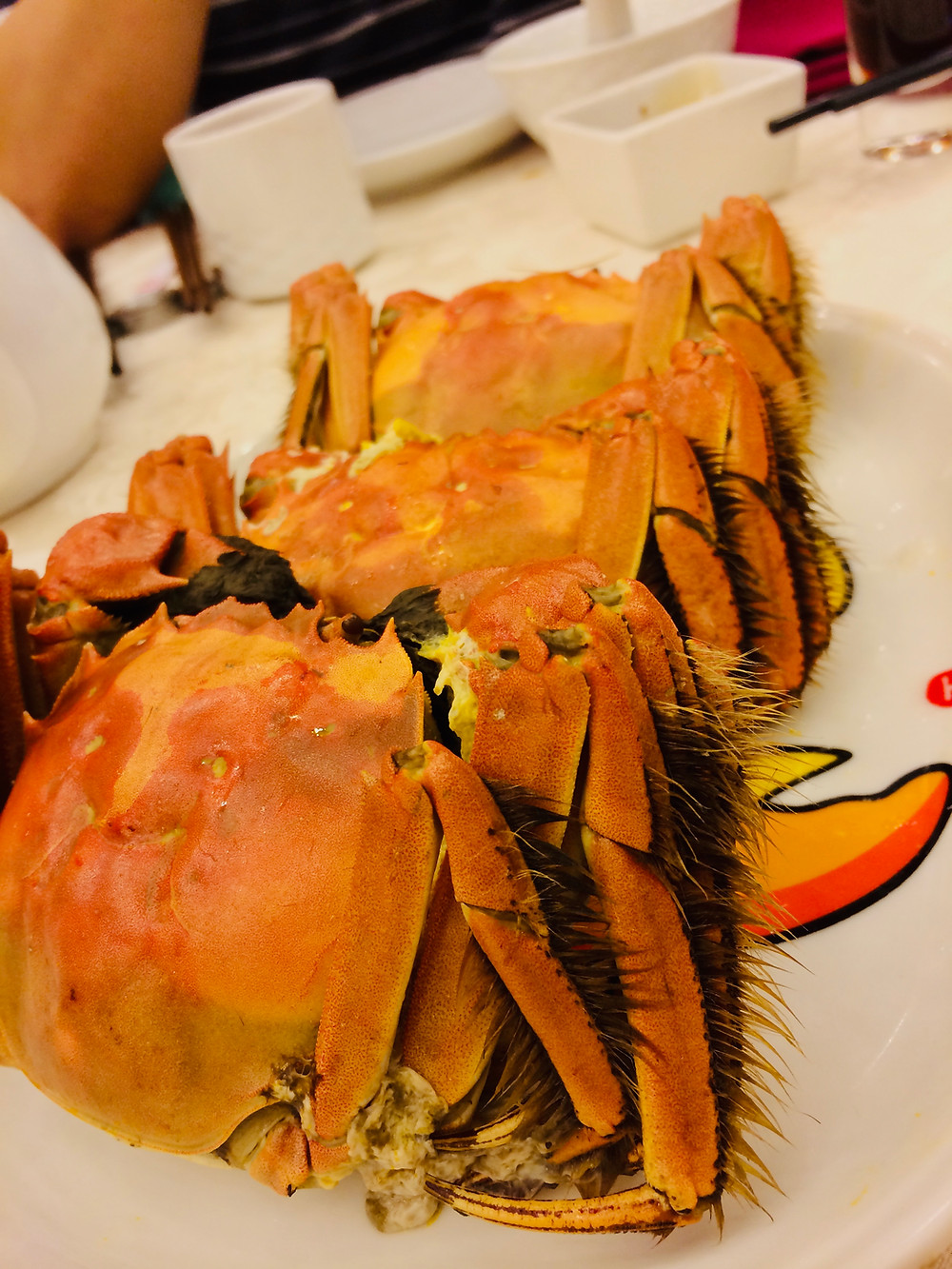 大閘蟹 Hairy crab in Hong Kong