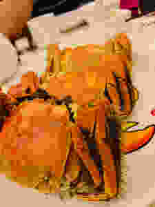 大閘蟹 Hairy crab in Hong Kong