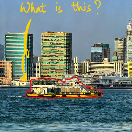 What on Ocean is this? 🛳️✨Water Taxi!