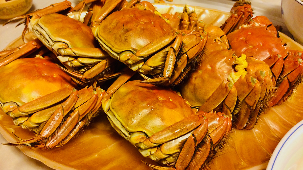 Hairy crab 大閘蟹 in Hong Kong