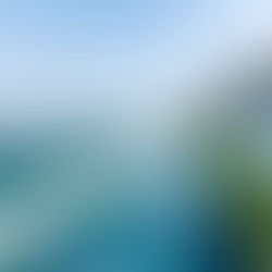 East Coast Boardwalk Hong Kong: Complete Guide to the New Harbourfront Walk