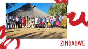 Organisational Development in Zimbabwe