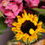 Thumbnail: Flower Power