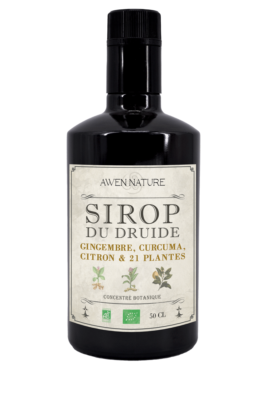 SIROP DU DRUIDE - CURCUMA GINGEMBRE CITRON.png