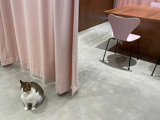 Curtain_wall 프로젝트를 마무리하며