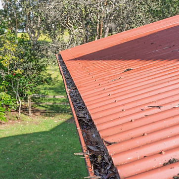 Big Island Hawaii Gutter Cleaning 1.jpg