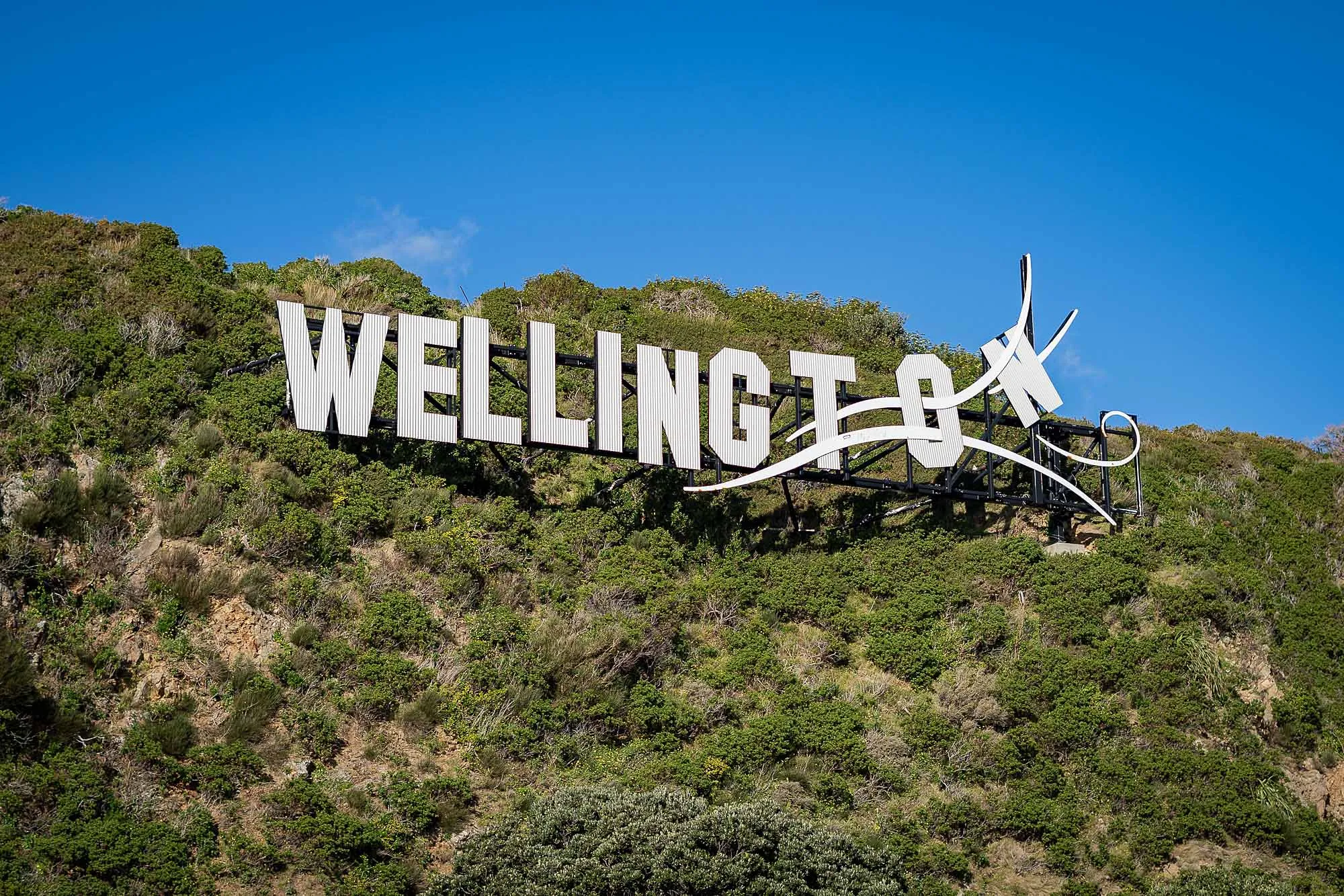 windy-wellington-sign.webp