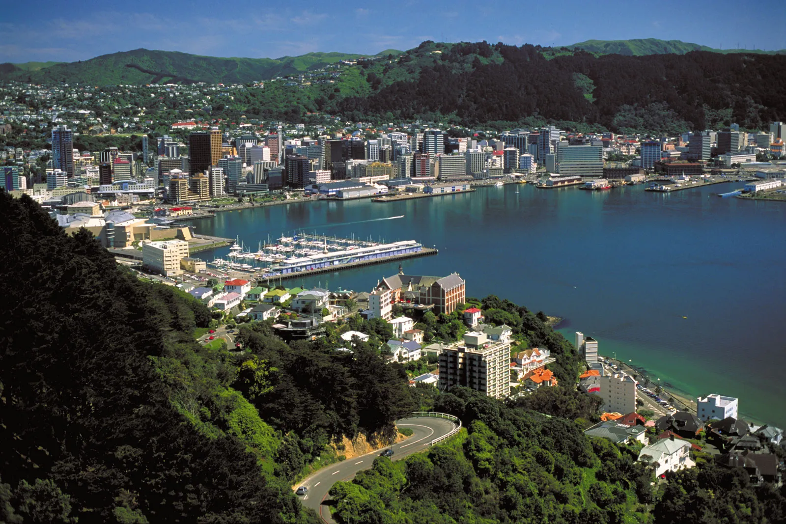 Wellington-top-Mount-Victoria-New-Zealand.webp