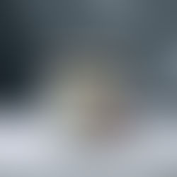 Where Liberty Ignited Began