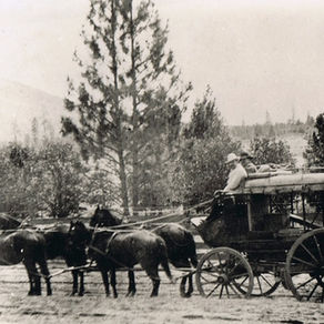 California-Oregon Stagecoach Company stagecoach in 1866