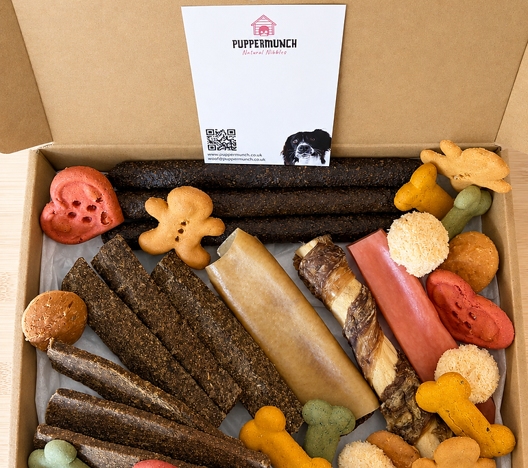Open PupperMunch Mix It! treat box 