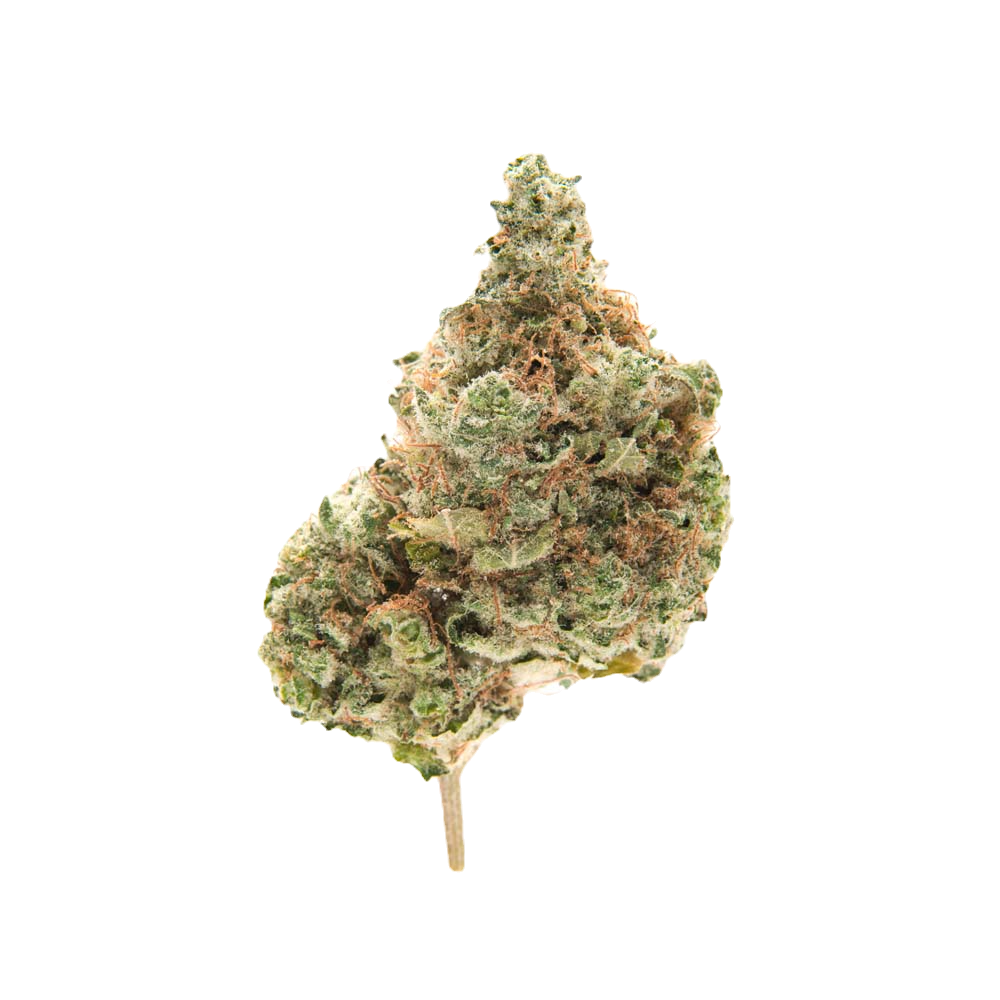 Swiss Cheese