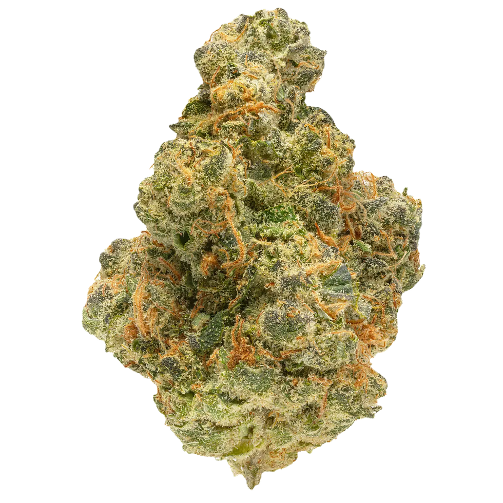 Miniatura: Amnesia Haze 14G.