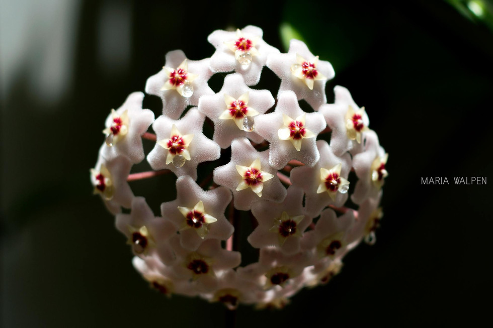 untitled image