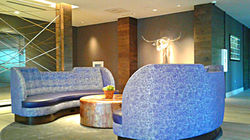 1m-cambria-hotel-southlake-reception-blue-sofas-md
