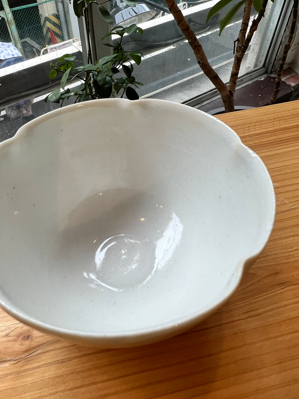 サムネイル： 竹下努　青白磁輪花深鉢（たー25）