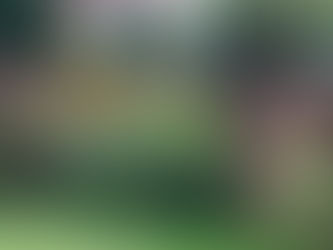 A Little August Update