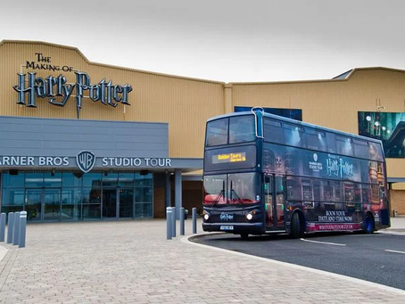 You Must Love Harry Potter...